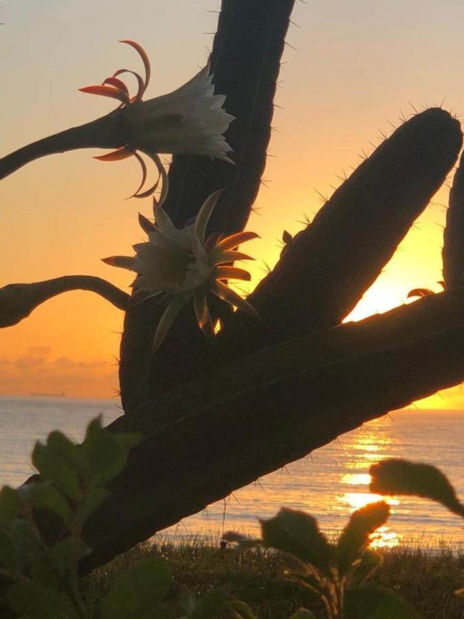 Flat Na Praia Da Costa วีลา เวลยา ภายนอก รูปภาพ